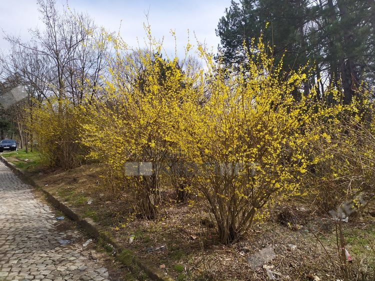 Затоплянето продължава,променлива облачност над Кърджали днес