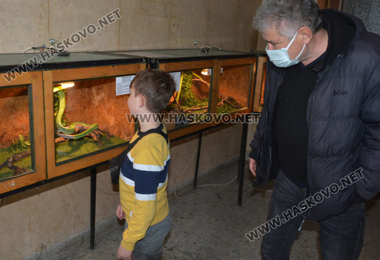 Екзотични влечуги в центъра на Хасково