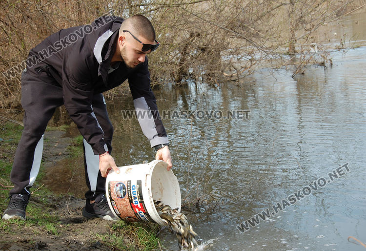 10 000 20-грамови шаранчета вече плуват по р.Марица