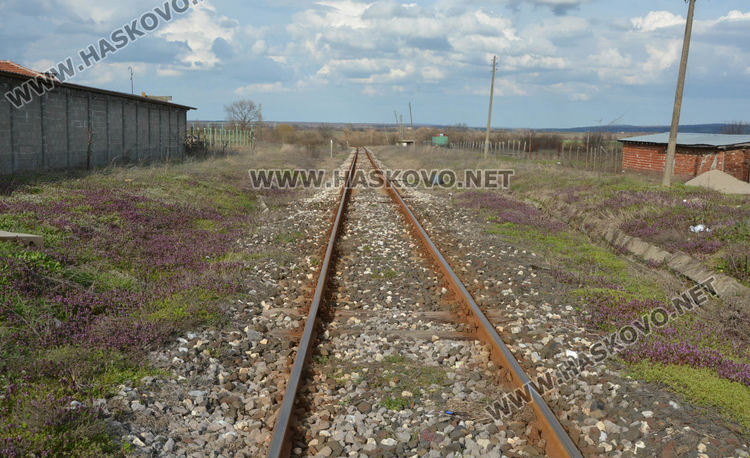 „Пътна полиция“ с акция по жп прелезите и пешеходните пътеки в Хасковско