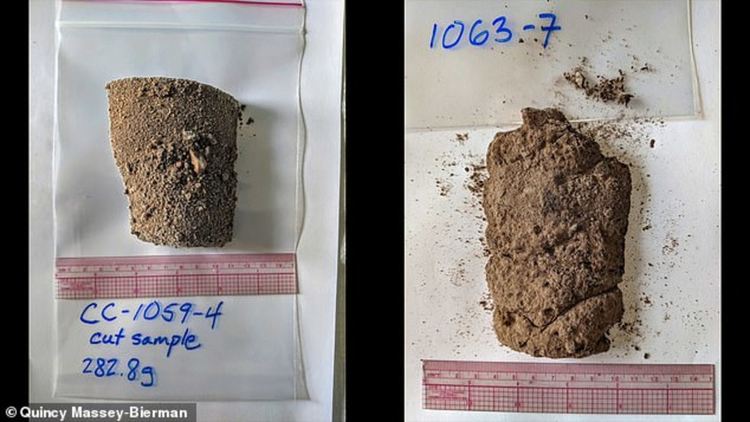 Под леда в Гренландия откриха гора