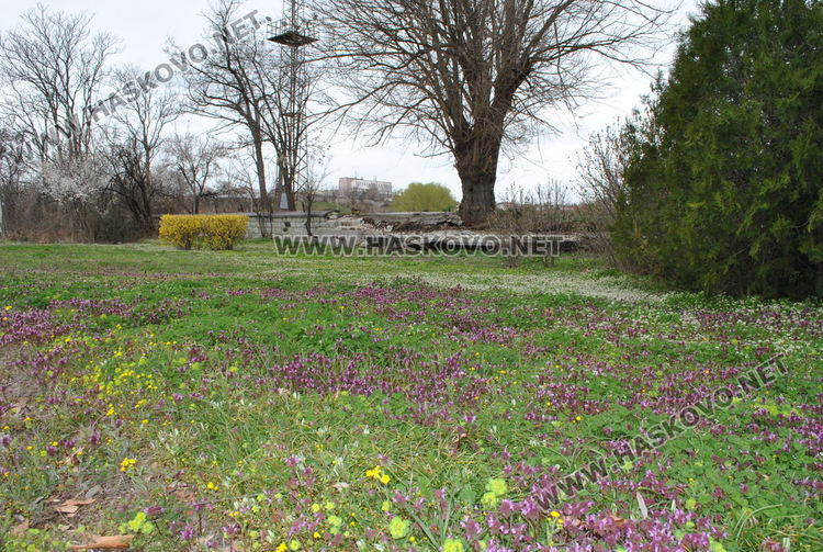 Рухна ограда до жп гарата в Хасково, обезопасяват я спешно