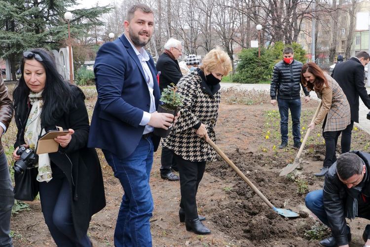 16 храста червени рози засадиха кандидатите за народни представители от БСП за България от 29-и МИР, област Хасково