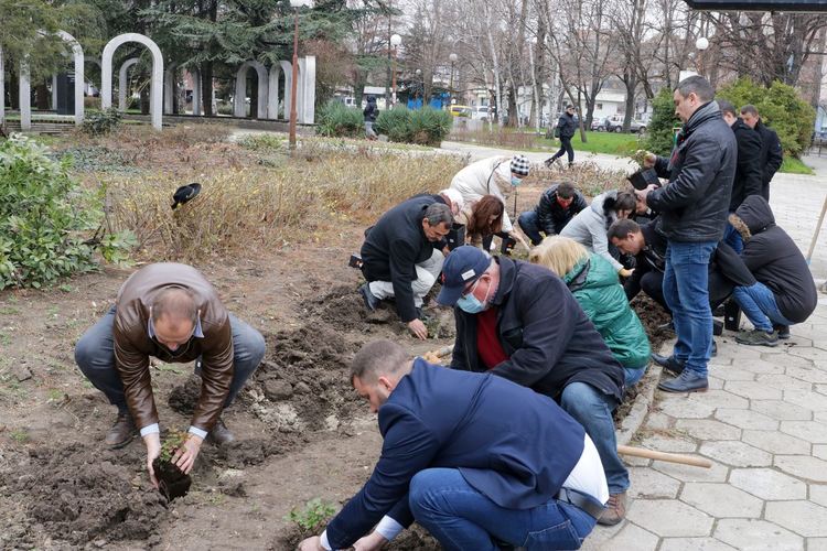 16 храста червени рози засадиха кандидатите за народни представители от БСП за България от 29-и МИР, област Хасково