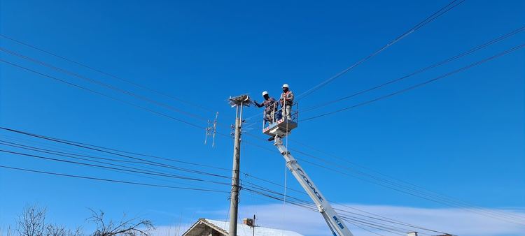 Монтираха платформи за щъркелови гнезда по стълбовете