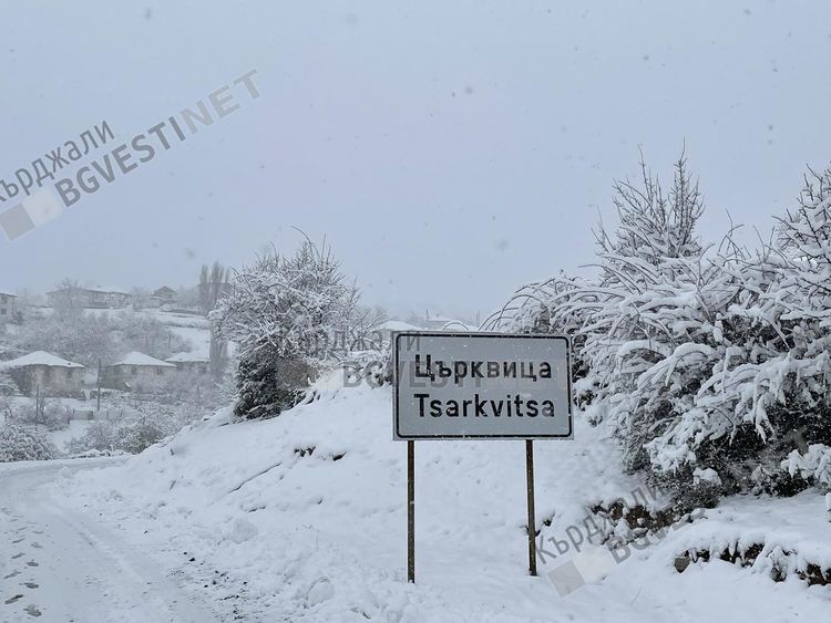 Мокър сняг наваля в Църквица, дърветата подадоха