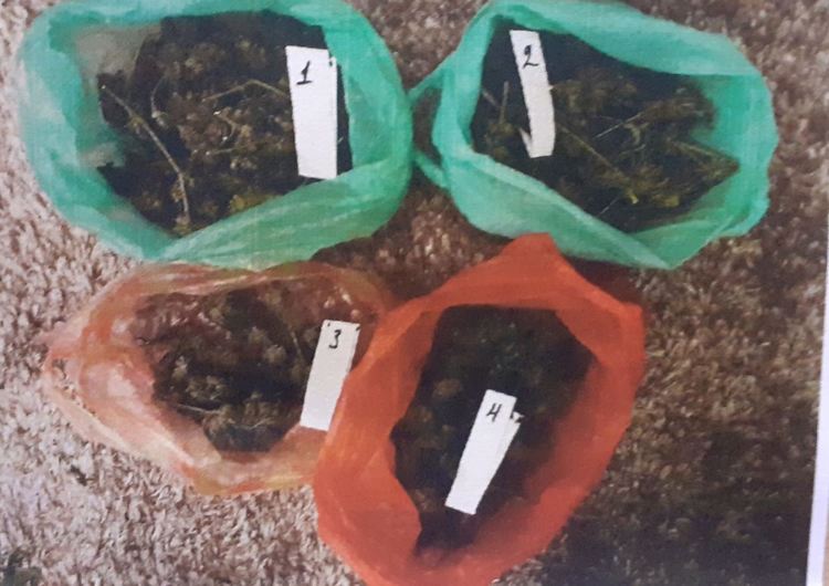 Домашна лаборатория за отглеждане на канабис е открита в Асеновград 