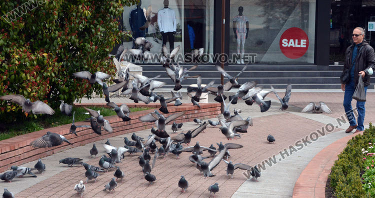 Пролетно настроение в Хасково
