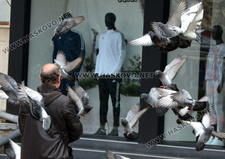 Пролетно настроение в Хасково