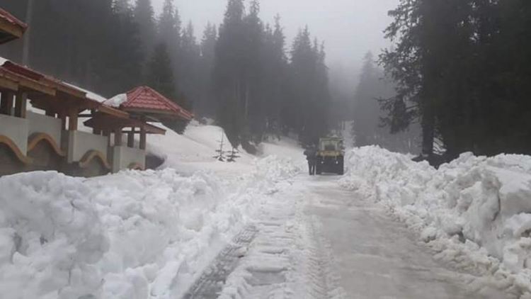 Теглиха закъсали в снега по пътя за връх "Свобода"