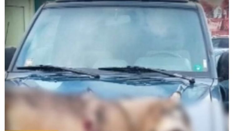 Ловджия паркирал джипа си с прострелян вълк на бронята пред хипермаркет в Перник