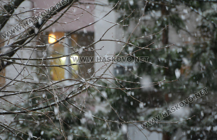 Студено и снежно днес