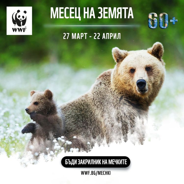 Сградата на Областна администрация в Хасково угасва  в Часът на Земята