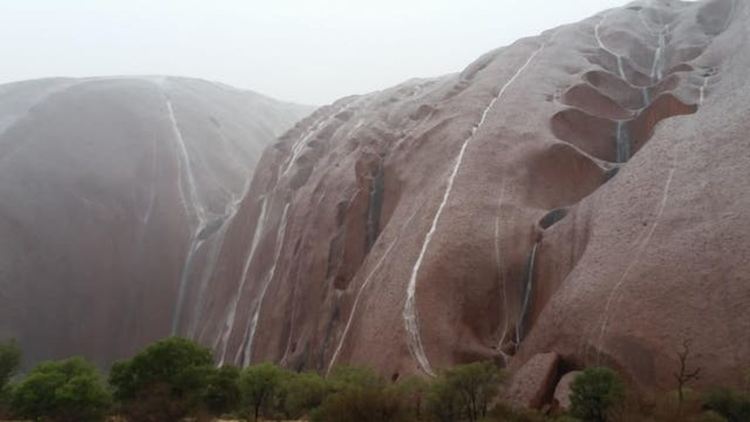 Водопади в пустинята и пълчища паяци след пороите в Австралия