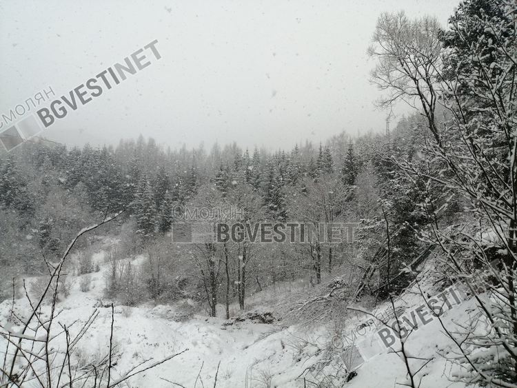 Остава студено и снежно, максималните температури около нулата