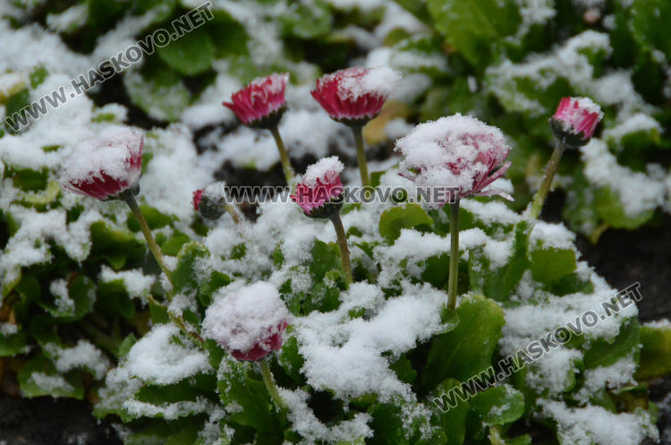 Облачно време с краткотрайни превалявания