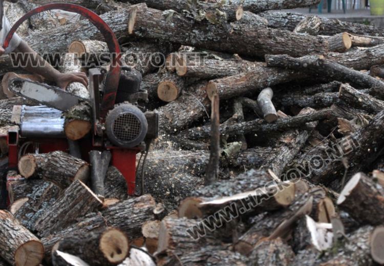 Работник открадна 2000 лева от борса за дърва в Хасково