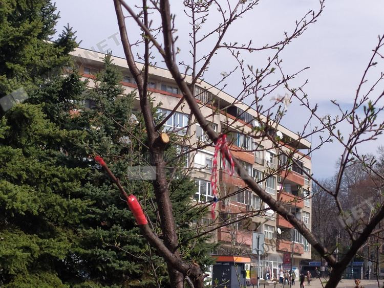 Слънчево и топло днес в Кърджали