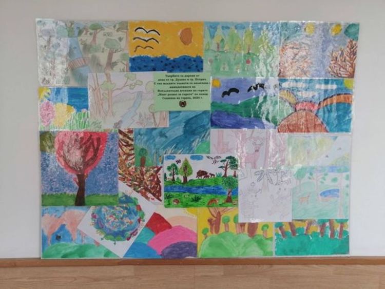 Лесовъдите с онлайн уроци за гората