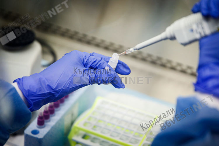 49 са новите случаи на заразени с COVID 19 в областта,сред тях отново ученик