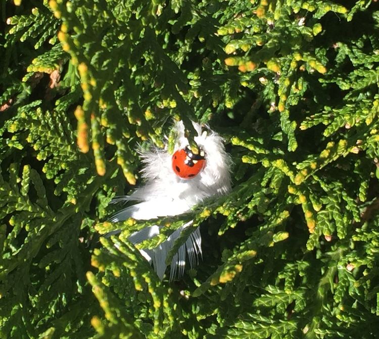 Топла и приятна неделя