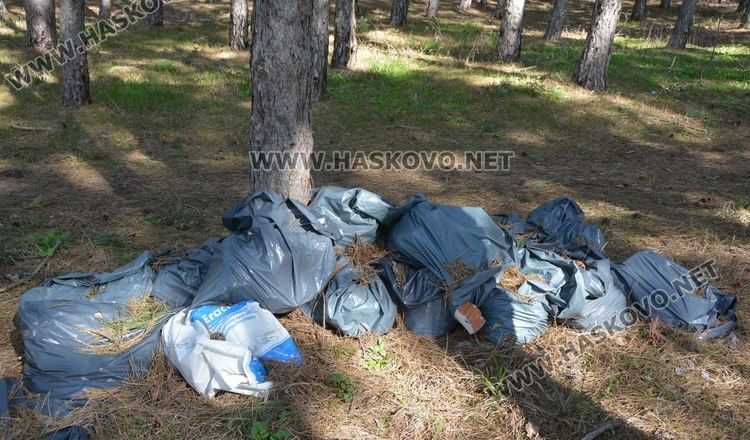 Ново сметище в боровата горичка до ТЕЦ-а месеци след почистването й