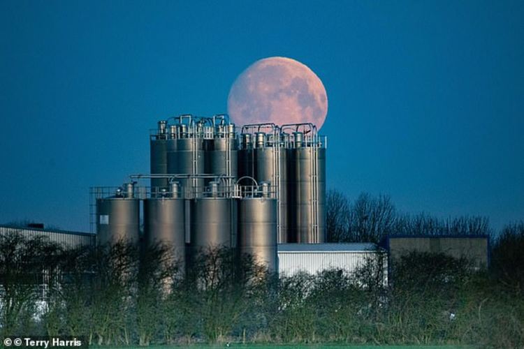 Пролетната Супер Луна грее ярка и голяма