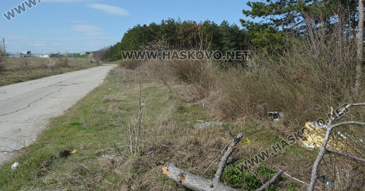 Ново сметище в боровата горичка до ТЕЦ-а месеци след почистването й