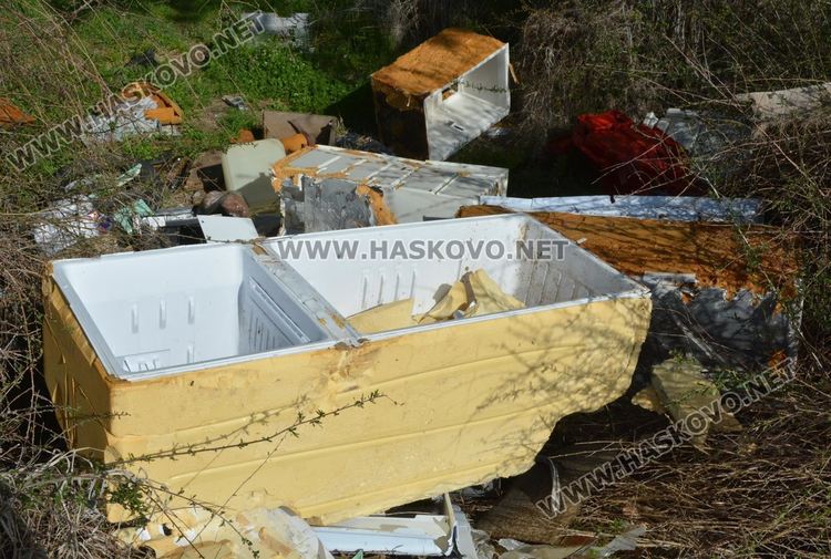 Ново сметище в боровата горичка до ТЕЦ-а месеци след почистването й