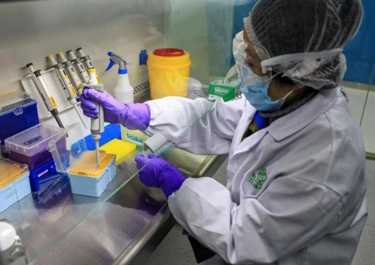 Трима починали с коронавирус и четирима новозаразени в Хасковско