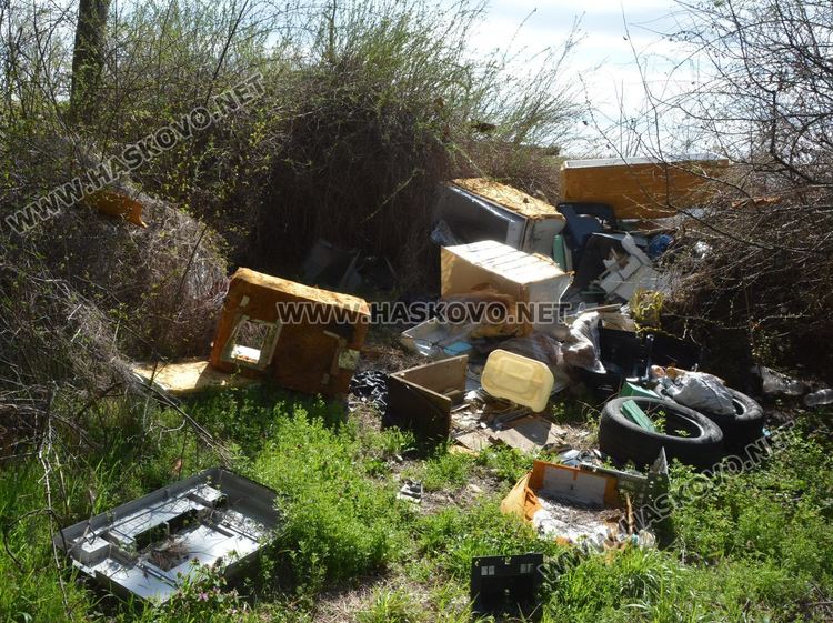 Ново сметище в боровата горичка до ТЕЦ-а месеци след почистването й