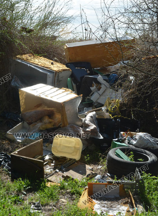 Ново сметище в боровата горичка до ТЕЦ-а месеци след почистването й