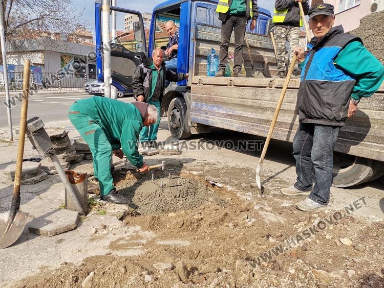 Продължава възстановяването на щетите от падналата топола 