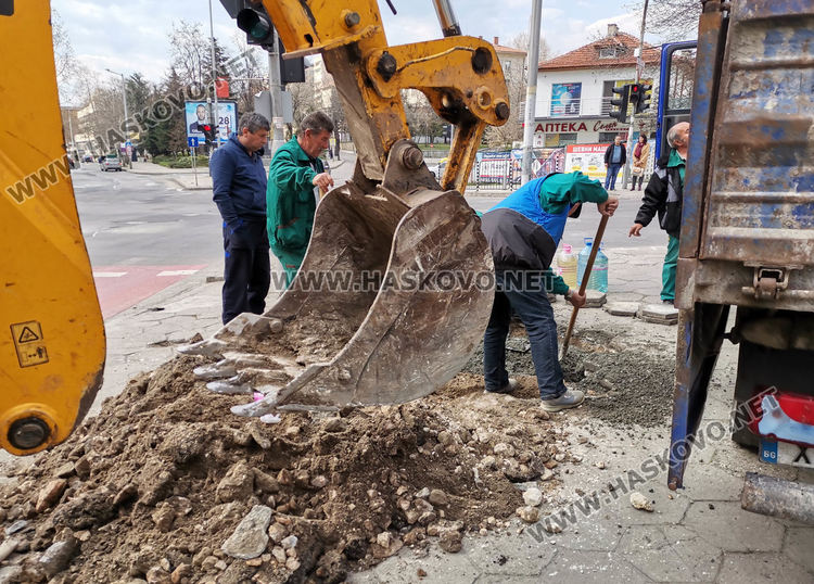 Продължава възстановяването на щетите от падналата топола 