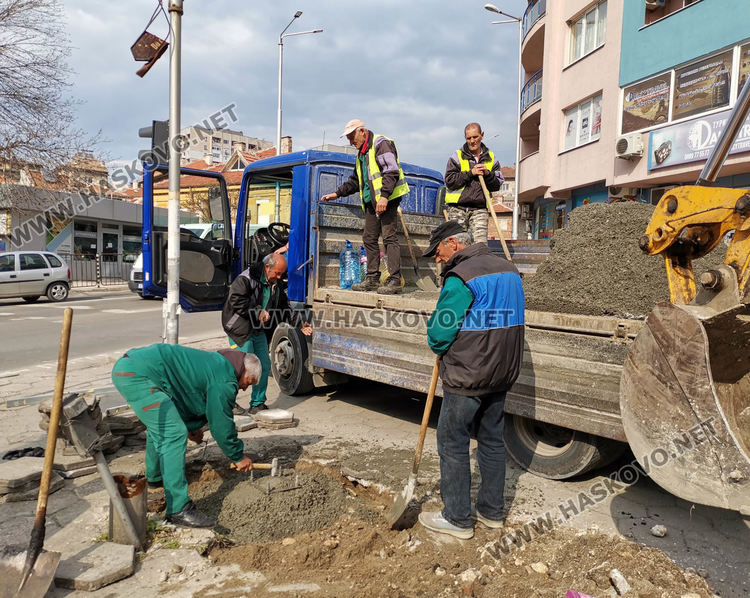 Продължава възстановяването на щетите от падналата топола 