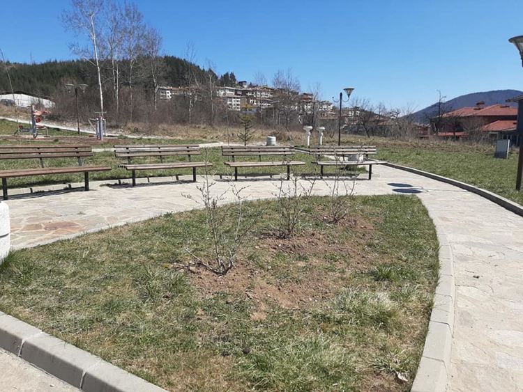 Община Смолян оформя короните на дърветата и храстовата растителност в различни ландшафтни форми