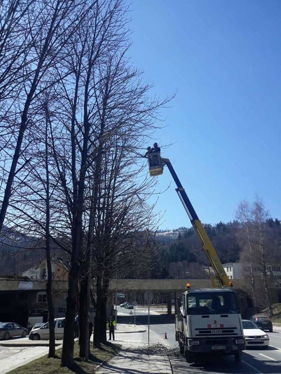 Община Смолян оформя короните на дърветата и храстовата растителност в различни ландшафтни форми