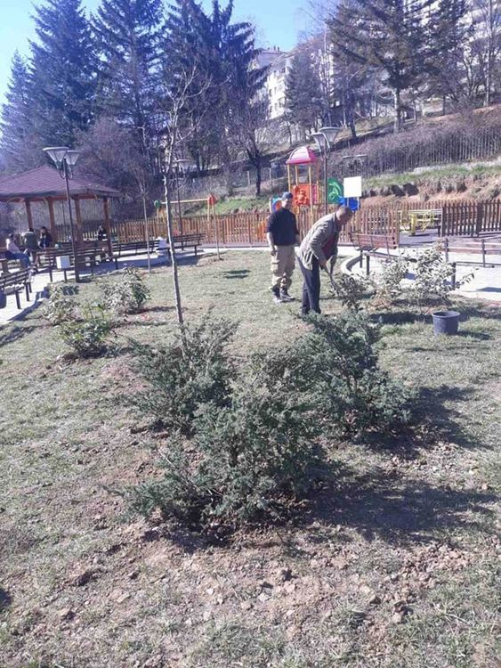 Община Смолян оформя короните на дърветата и храстовата растителност в различни ландшафтни форми