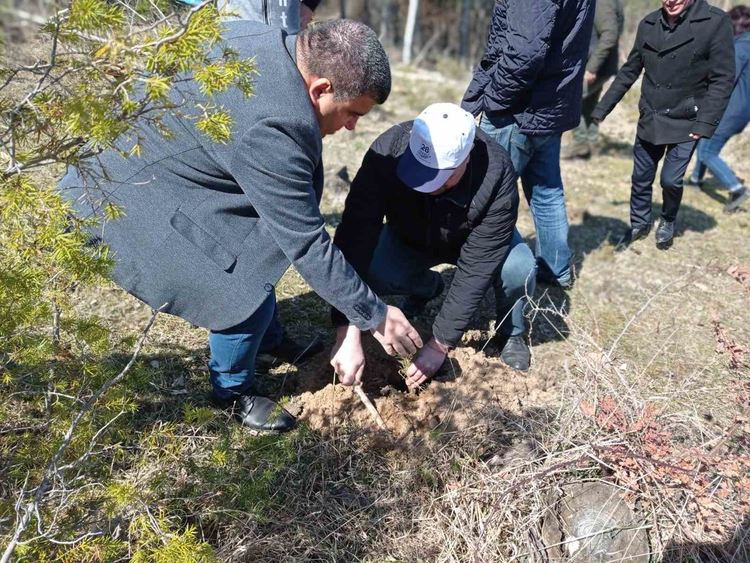 ПП ГЕРБ закри кампанията си с посаждане на 28 дръвчета и призова да се гласува с №28