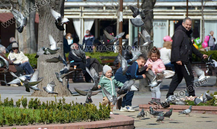 До 20 градуса в петък