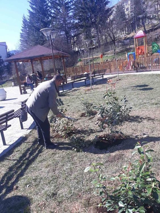 Община Смолян оформя короните на дърветата и храстовата растителност в различни ландшафтни форми