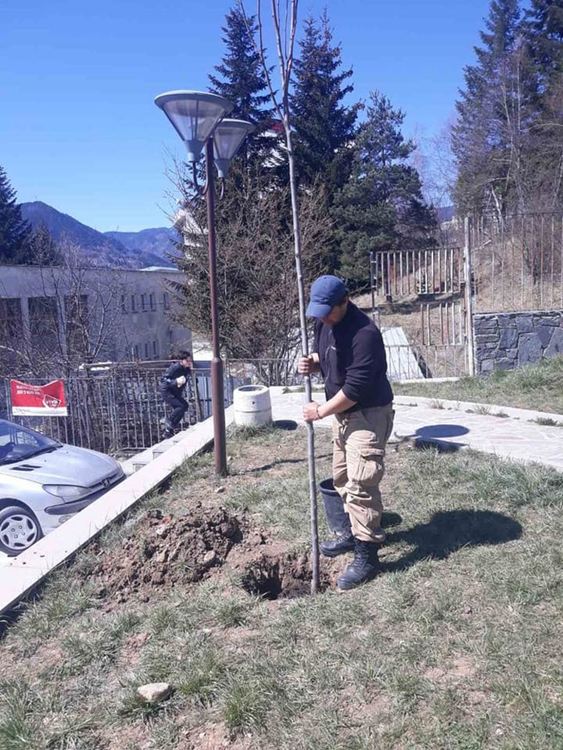 Община Смолян оформя короните на дърветата и храстовата растителност в различни ландшафтни форми