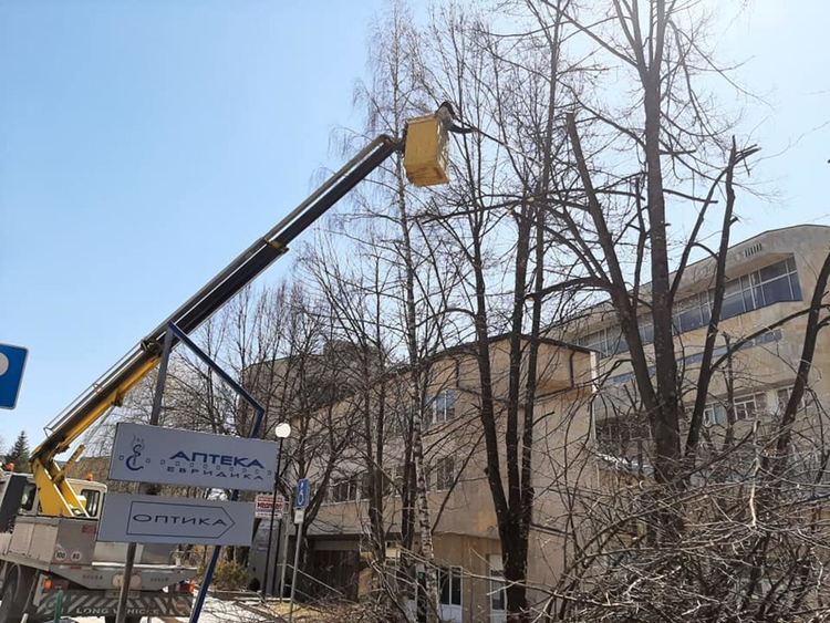 Община Смолян оформя короните на дърветата и храстовата растителност в различни ландшафтни форми