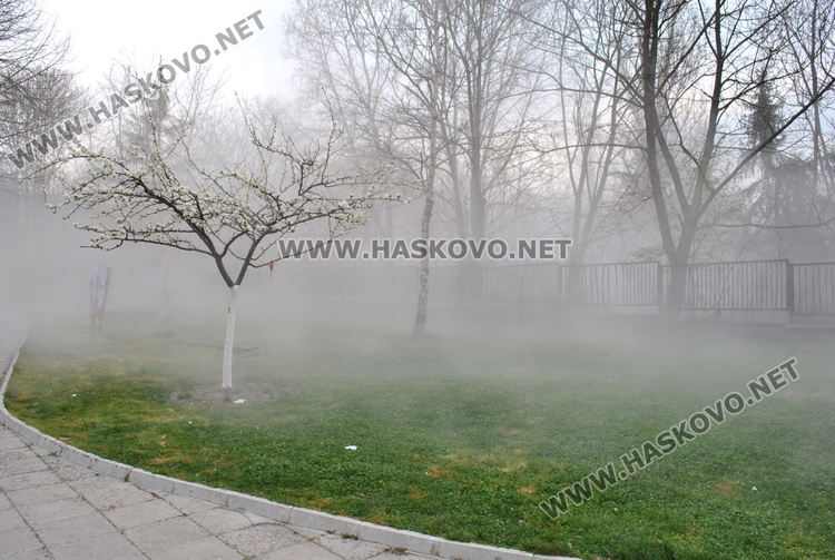 Започна разрушаването на бившата казарма край улица „Дунав“