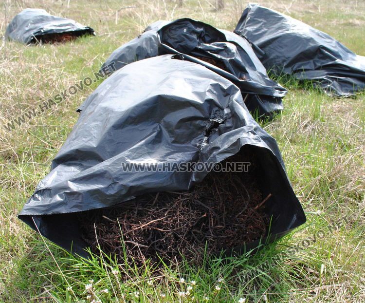 Читател: Горичка край Хасково е осеяна с купища отпадъци
