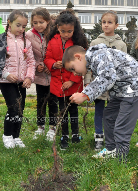 Ученици от ОУ „Любен Каравелов“ с екоинициатива