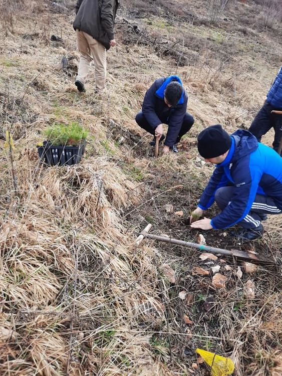 Пожарникари, горски и родопски скаути залесяваха пожарището до Хасовица