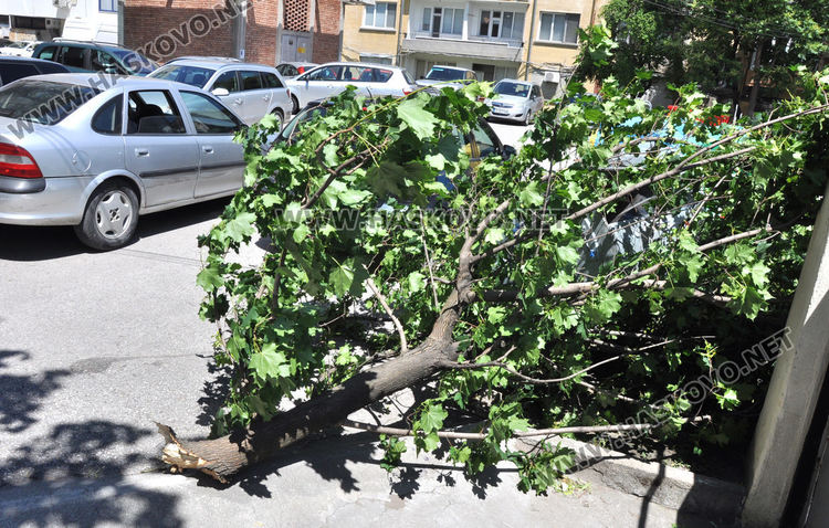 Жълт код за силен вятър днес
