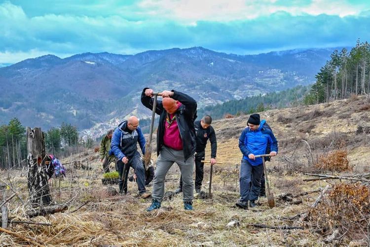 Пожарникари, горски и родопски скаути залесяваха пожарището до Хасовица