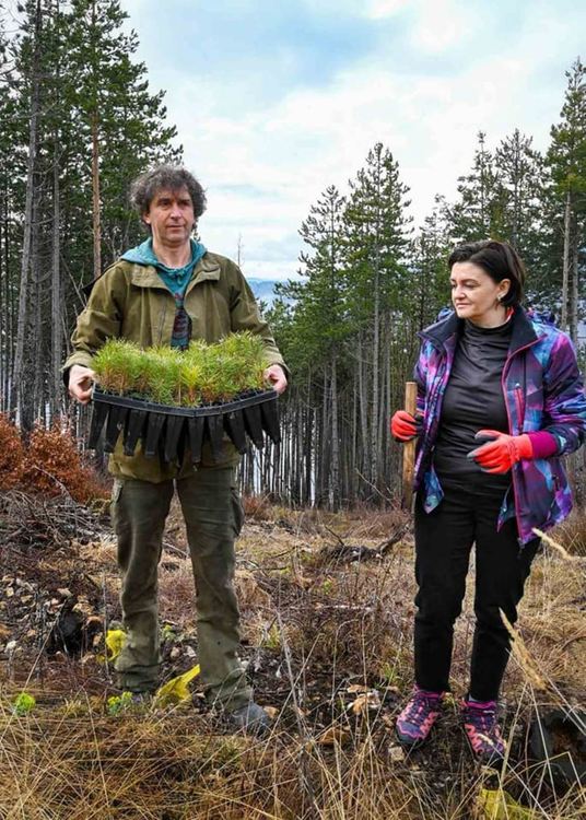 Пожарникари, горски и родопски скаути залесяваха пожарището до Хасовица